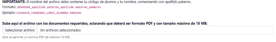 Carga del archivo PDF con documentos probatorios