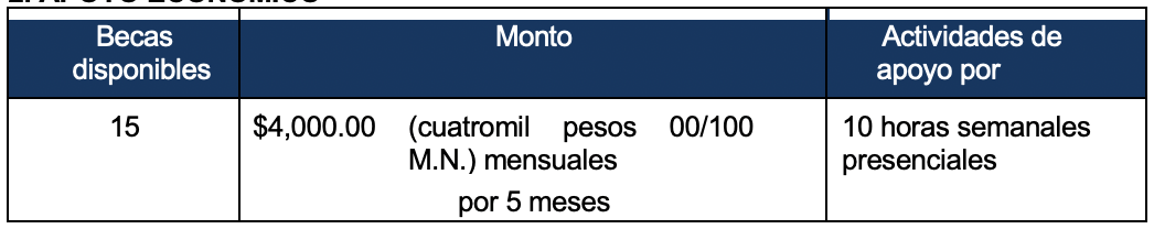 Nuevo PROGRAMA DE BECARIOS INTERNOS en CUGDL