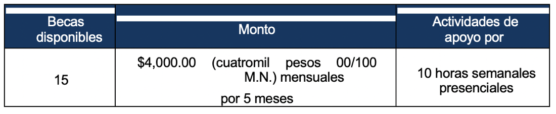 programa Becarios Internos CUGDL