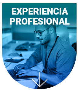 Experiencia Profesional