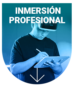 Inmersión Profesional