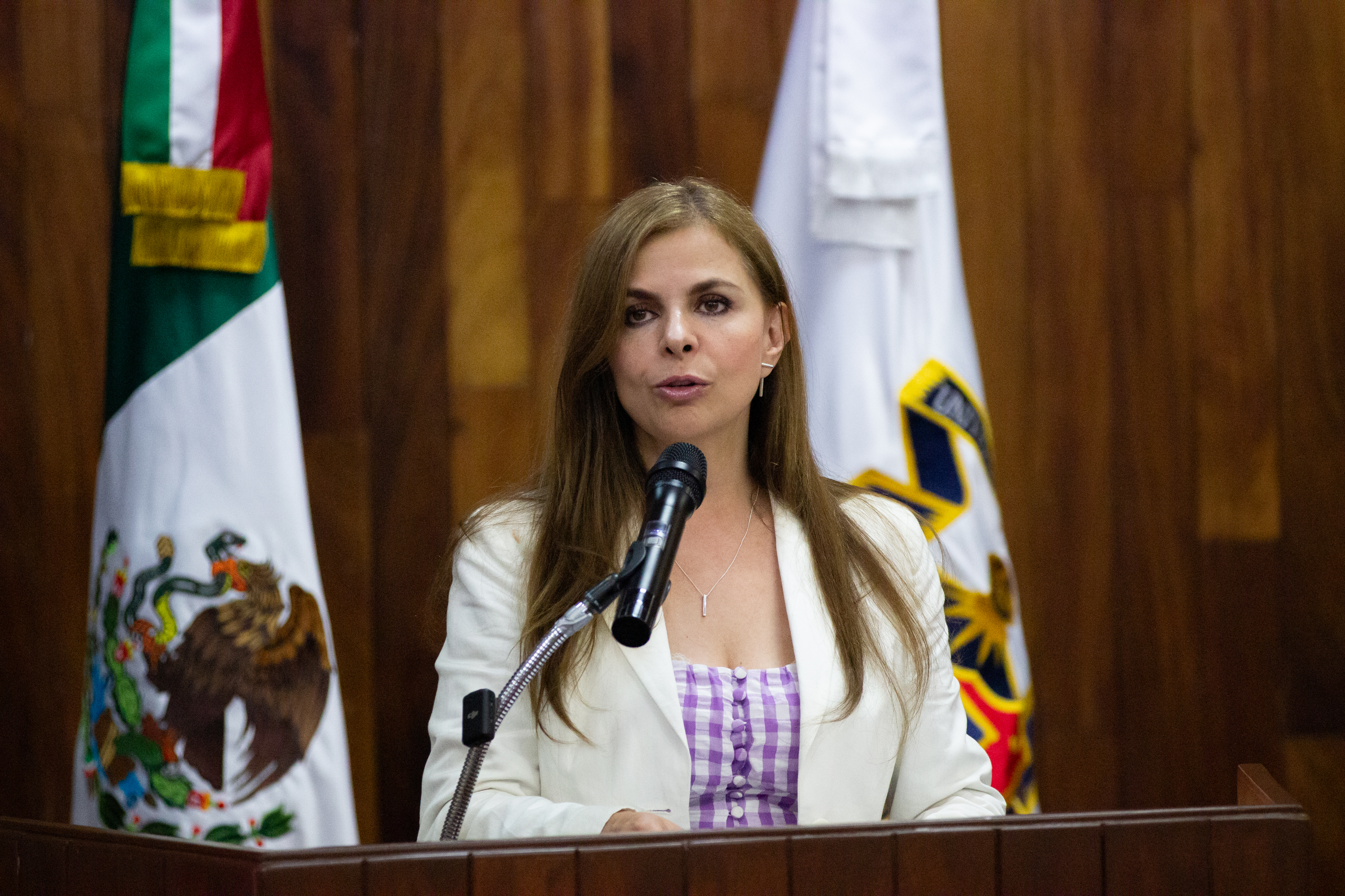 Mejorar el modelo híbrido, prioridad del Rector del CUGDL, Alberto Castellanos
