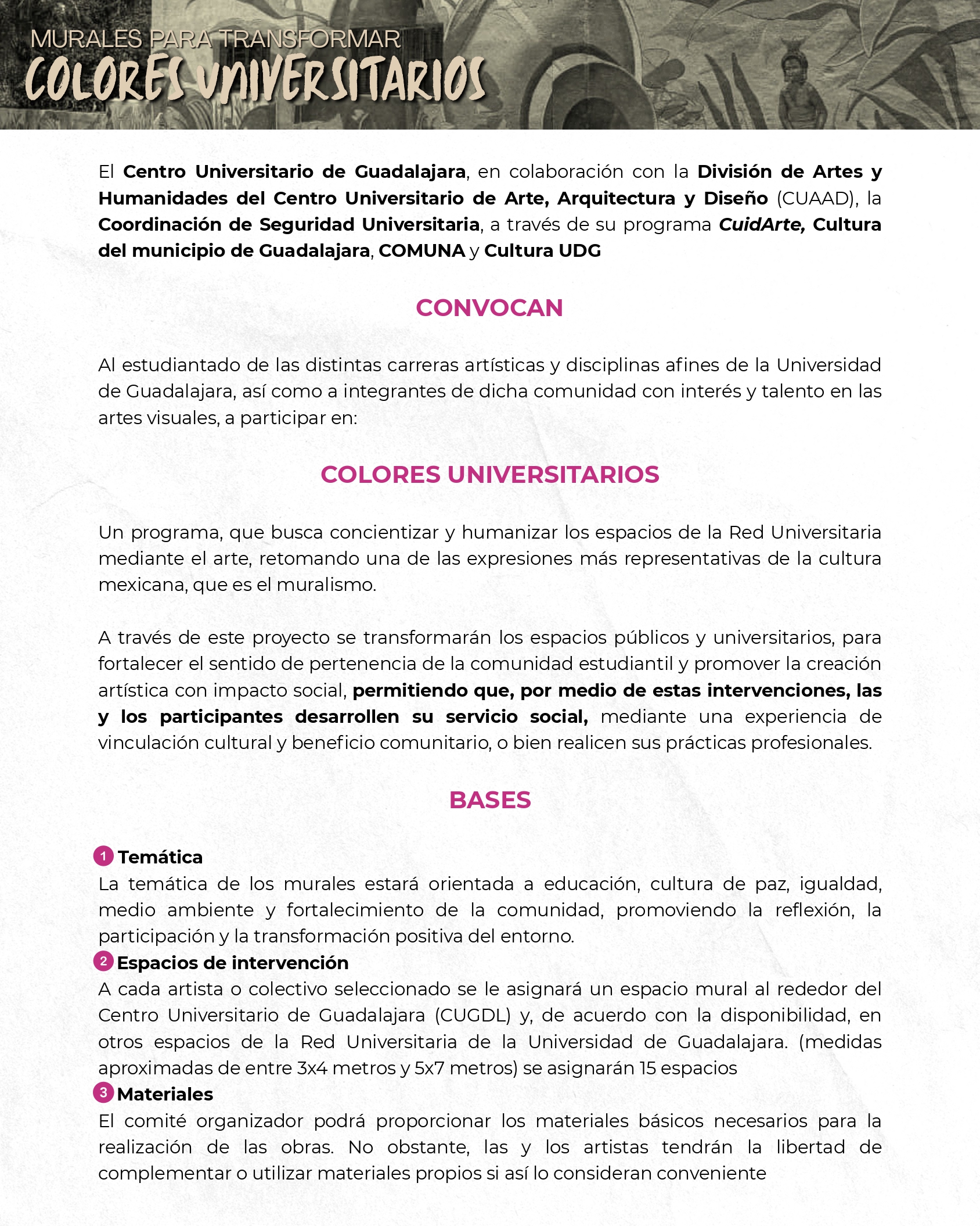 Relanzamiento de la convocatoria “Colores Universitarios para Transformar”