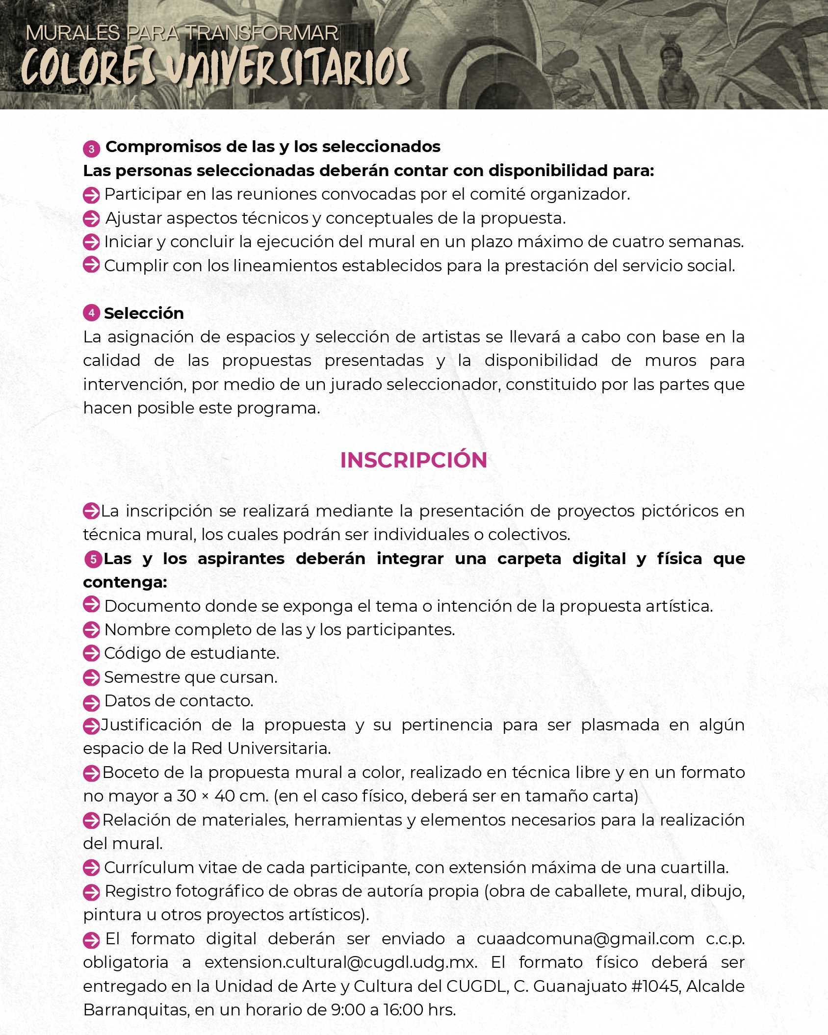 Relanzamiento de la convocatoria “Colores Universitarios para Transformar”