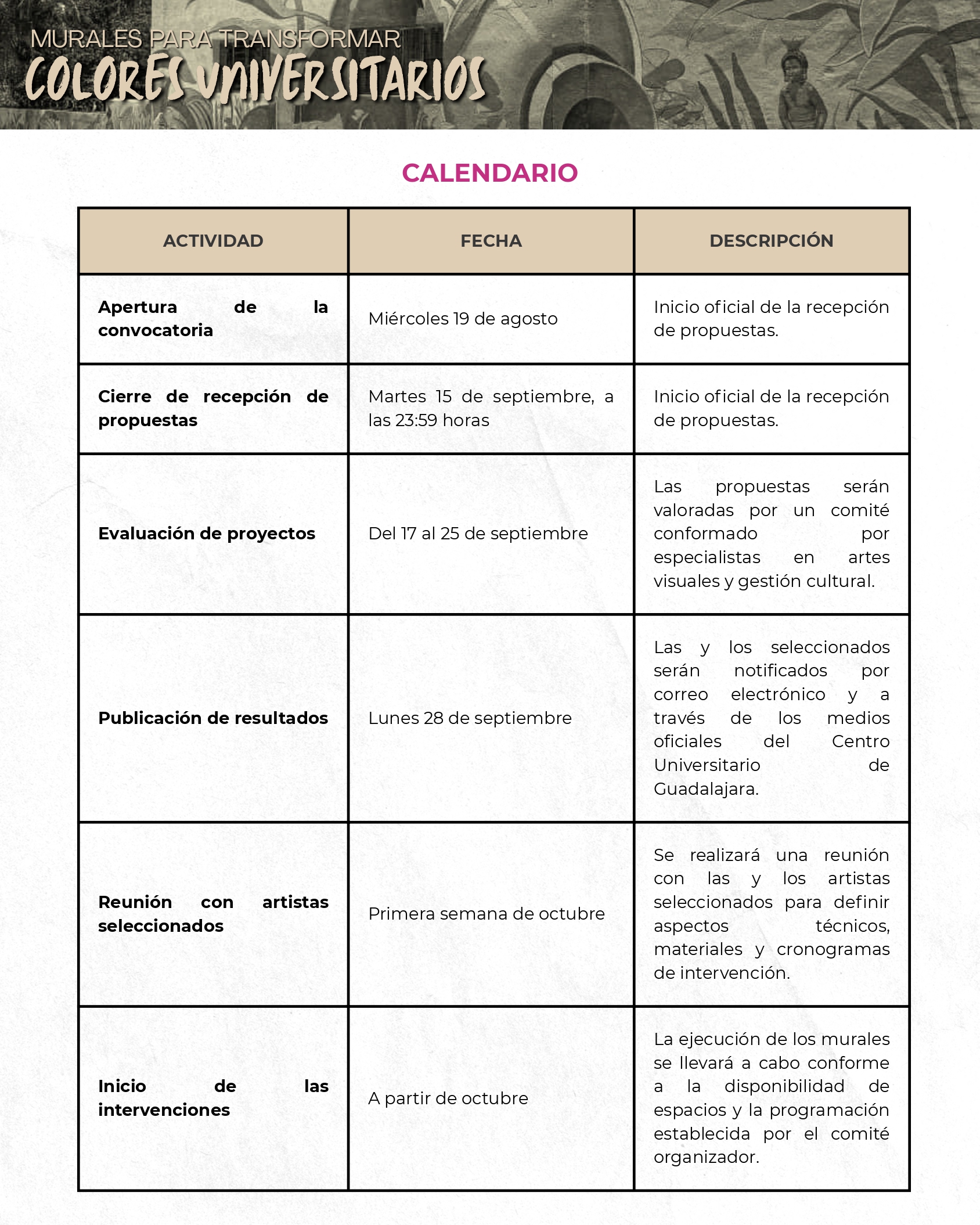 Relanzamiento de la convocatoria “Colores Universitarios para Transformar”
