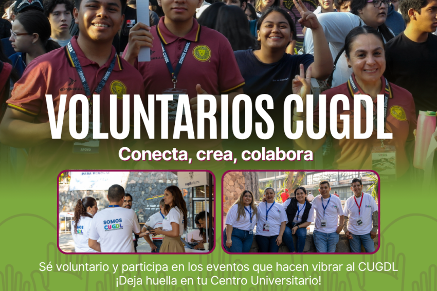 Programa de Voluntariado 2026